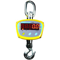 LHS Hanging Scales